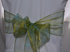 Organza Wedding Sashes